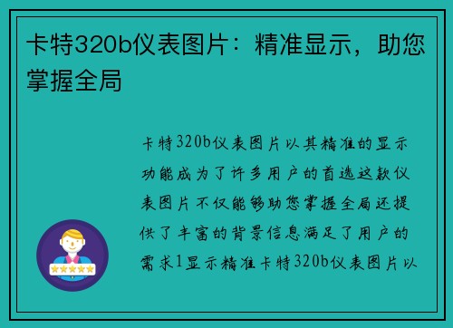 卡特320b仪表图片：精准显示，助您掌握全局